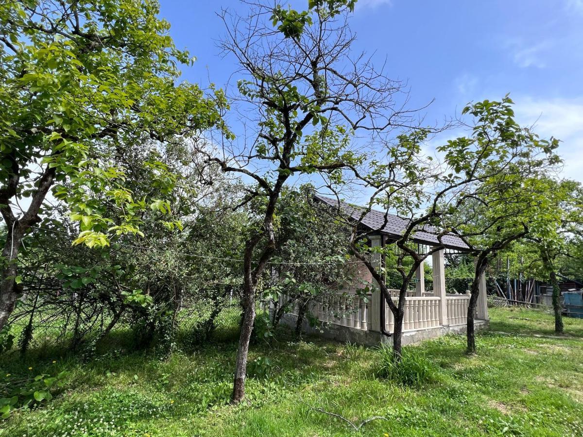 Apartament Gardenia Ckaltubo Zewnętrze zdjęcie